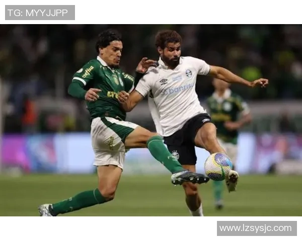 桑多斯与帕梅拉斯激战在即谁将赢得这场巴西足球巅峰对决